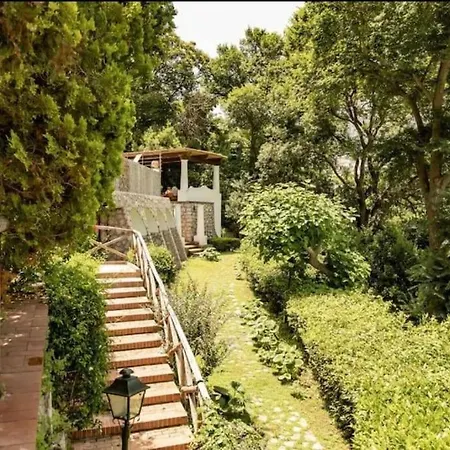 Galeotta